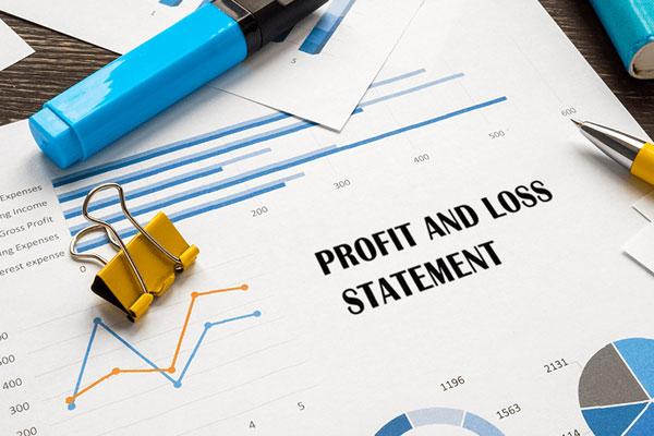 Profit and Loss Statements