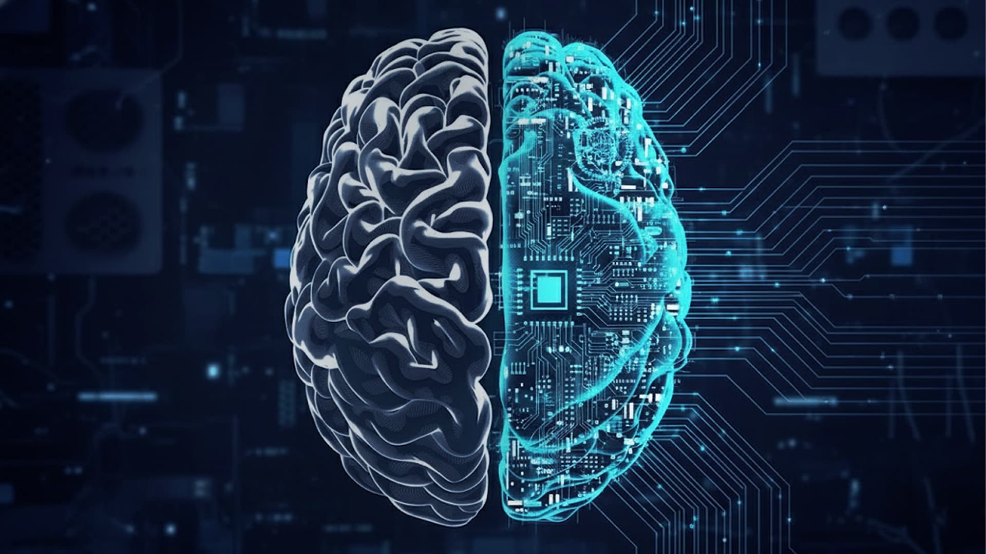 The 20-Year Human Touch